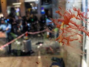 Blood is seen splattered on a glass panel at the entrance of a shopping mall as riot police secure the scene after a bloody knife fight broke out in Hong Kong on November 3, 2019. A bloody knife fight in Hong Kong left six people wounded on November 3 evening, including a local pro-democracy politician who had his ear bitten off, capping another chaotic day of political unrest in the city. VIVEK PRAKASH / AFP