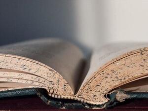 Ottoman manuscripts (Twitter)