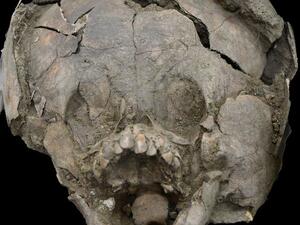 Babies In Ancient Ecuador Were Buried With Helmets Made From Skulls (Twitter)