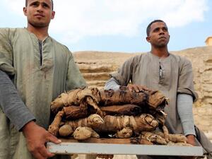 Mummified Egyptian cat  (Twitter)