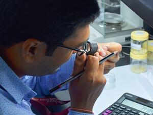 DDE hosts one of the largest ever rough diamond tenders in the UAE DDE hosts one of the largest ever rough diamond tenders in the UAE