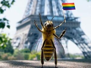 Pride, Paris? (Instagram)