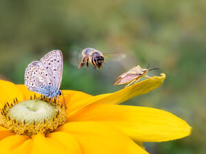 (Shutterstock/ File Photo)