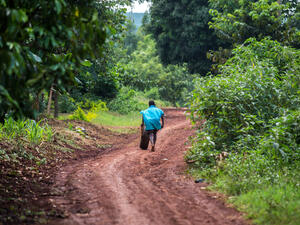 A third of tropical plants in Africa are headed for extinction, a study has revealed. (Shutterstock/ File Photo)