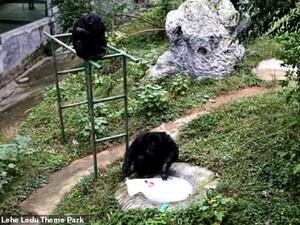 He lays the T-shirt on the edge of the rock before repeating the steps and washing it again. (Lehe Ledu Theme Park in Chongqing)