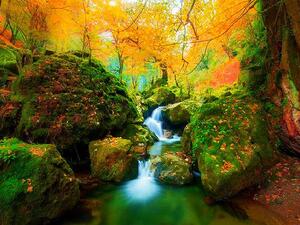 Hyrcanian Forest Iran (Twitter)