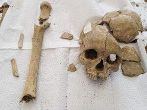 3,500-year-old skull  (Twitter)