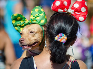 (Shutterstock/ File Photo)