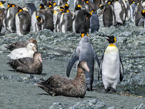 (Shutterstock/ File Photo)