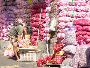 (Shutterstock/ File Photo)