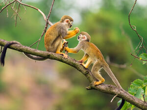 (Shutterstock/ File Photo)