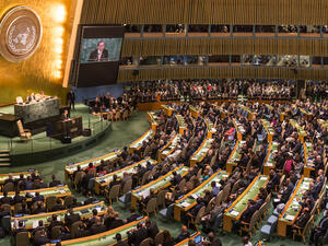  United Nations General Assembly  (Shutterstock)	