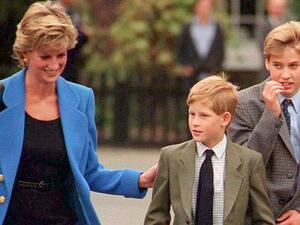 الأميرة ديانا والأمير هاري وويليام