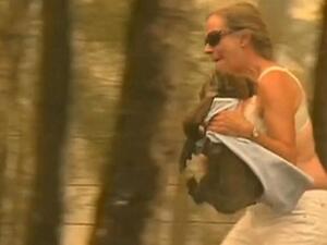  فقد عشرات  ودمر أكثر من 1300 منزل