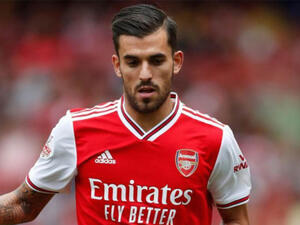 داني سيبايوس