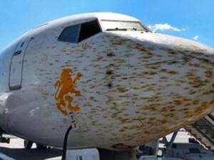 The plane, from Djibouti to Dire Dawa, was preparing to land when collided with a swarm of locusts. (Twitter)