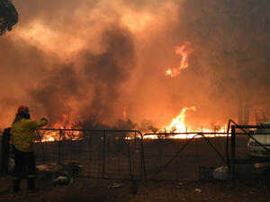 نيو ساوث ويلز من بين أكثر ولايات أستراليا تضررا بحرائق الغابات