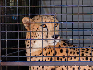 (Shutterstock/ File Photo)