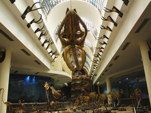 The Natural History Museum at The Giza Zoo, Egypt (Shutterstock)	