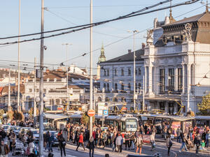 City of Brno (Shutterstock)	