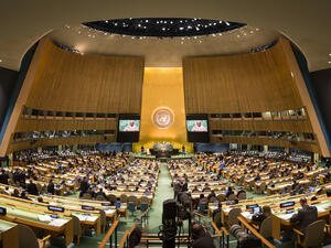 United Nations General Assembly (Shutterstock)	