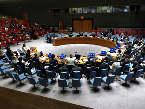 UN (Shutterstock)	