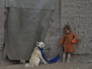 In this photograph taken on February 3, 2020, a child stands next to a dog outside his temporary house on the outskirts of Jalalabad. NOORULLAH SHIRZADA / AFP