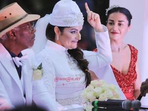 ألفا بلوندي