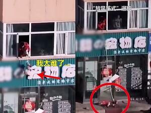 A separate video shared by state newspaper People's Daily shows another resident using the same method to walk her dog. People's Daily warned its readers not to copy the act. (Video Screenshot)