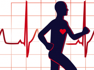 For women, who comprised only 15% of the study population, the occurrence of sudden cardiac death was 3.5-fold less than in men.