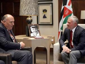 العاهل الأردني خلال استقباله وزير الخارجية المصري سامح شكري