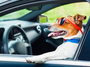 (Shutterstock/ File Photo)