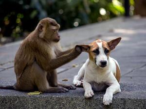 (Shutterstock/ File Photo)