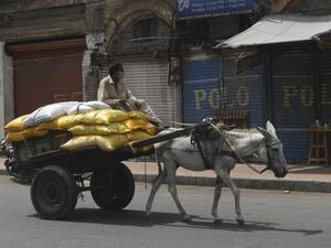 A labourer wearing a facemask rides on his loaded donkey cart on a street during a government-imposed nationwide lockdown as a preventive measure against the COVID-19 coronavirus, in Karachi on April 14, 2020. Asif HASSAN / AFP