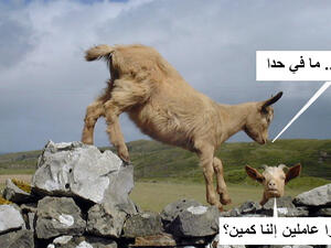 يا خوفي.. ههههه