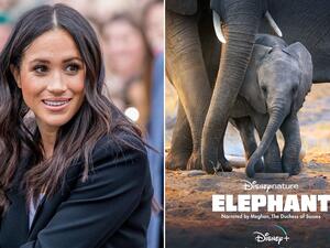 ميغان ماركل