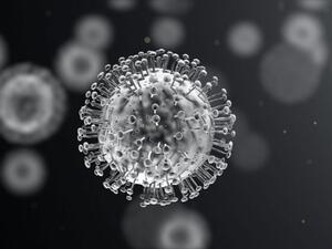 COVID-19 virus  (Twitter)