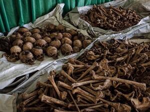 Rwanda's Genocide (Twitter)