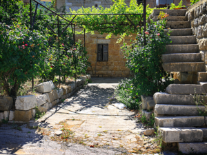 (Shutterstock) (Shutterstock)