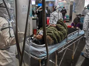 الفيروسات غير قادرة على التكاثر من دون وجود خلايا حية