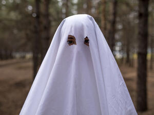 (Shutterstock/ File Photo)