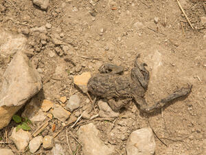 (Shutterstock/ File Photo)