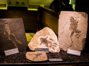 (Shutterstock/ File Photo)