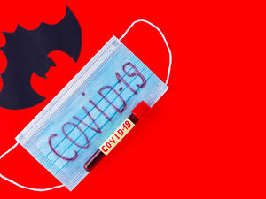 (Shutterstock/ File Photo)