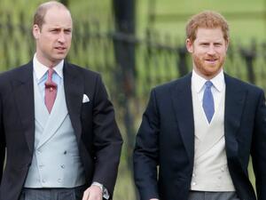 الأمير هاري وويليام