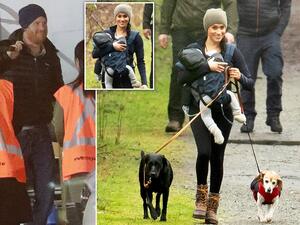 ميغان ماركل 