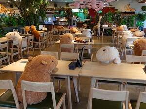 Plush capybaras (Twitter)