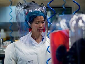 عالمة الفيروسات الصينية شي تشنغ لي