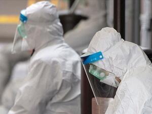  إجمالي المتعافين في المغرب 2930 حالة