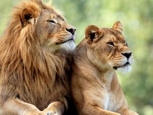 (Shutterstock/ File Photo)